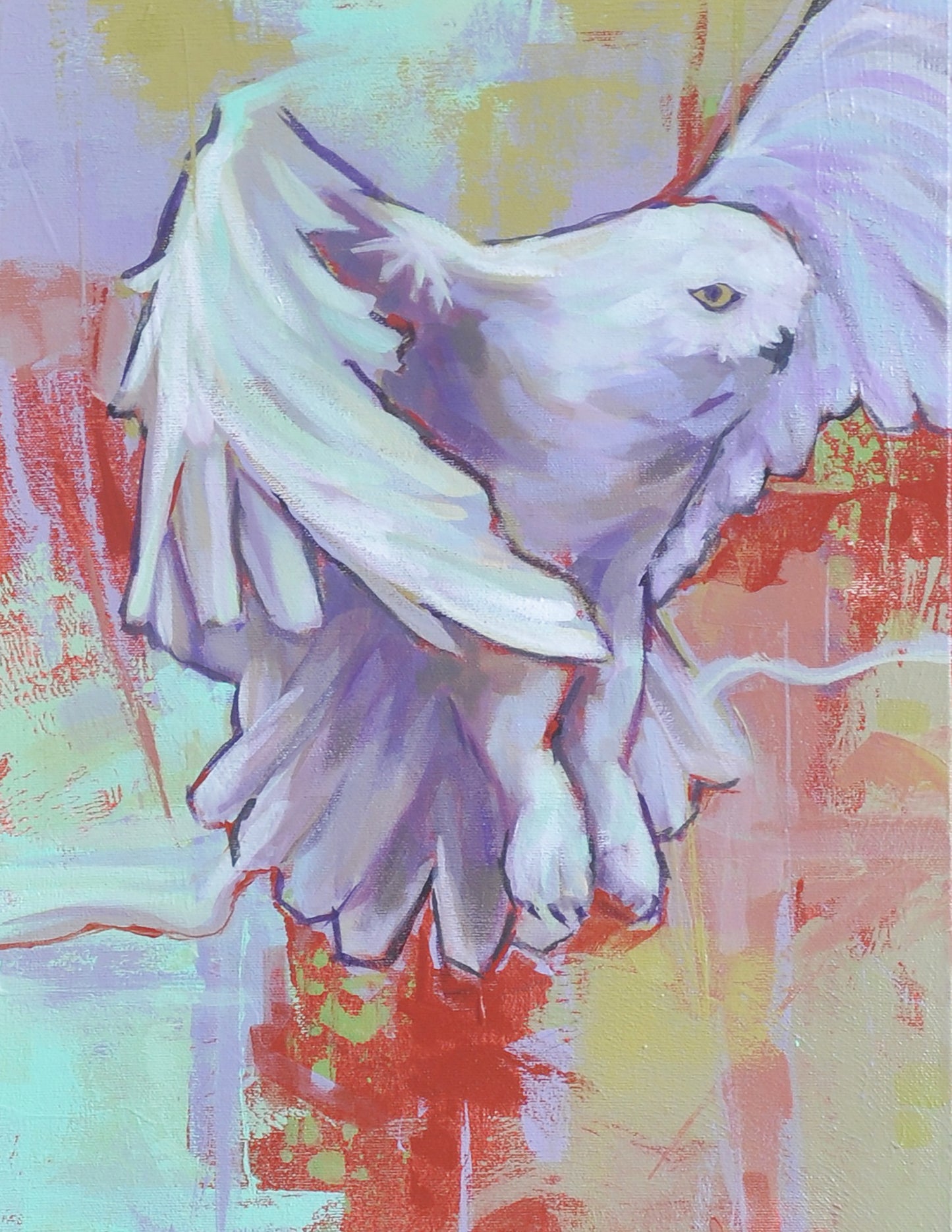 Messenger - a snowy white owl wall art print