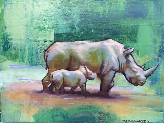 Save us Rhinos, Zimbabwe