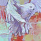 Messenger - a snowy white owl wall art print
