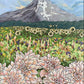 Jennifer's Garden - a field of flowers with Mt Hood art print