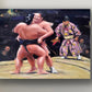 Purification in Opposing Forces - Sumo wrestlers wall art